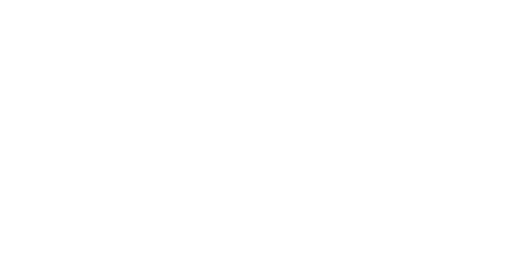 Tim Leow's wordmark logo in white.